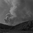 forest fires burning
